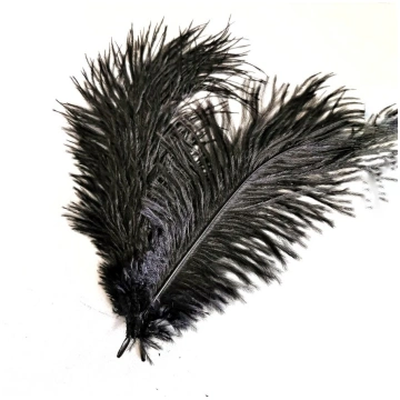 Strausu spalvas 15-20cm