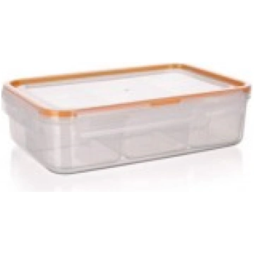 Plastmasas kastītes taisnstūra Divided AirTight&Wa