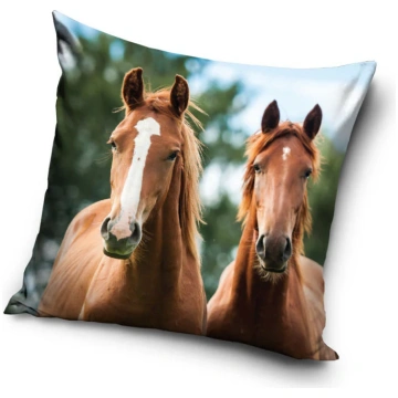 Zirgu harmonijas spilvena pārvalks 40x40 cm