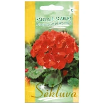 Pelargonijas Falcon F1 Scarlet 5s