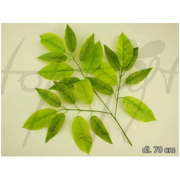 CV00662