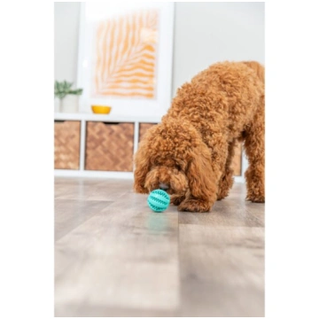 Trixie Denta Fun piparmētru bumba 5 cm | 404797403