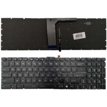 TASTATŪRA PRIEKŠ MSI: MS-16JB KB313198 99900003131