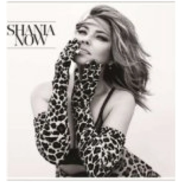 Mercury SHANIA TWAIN "Now" (180g) Vinila plate 006