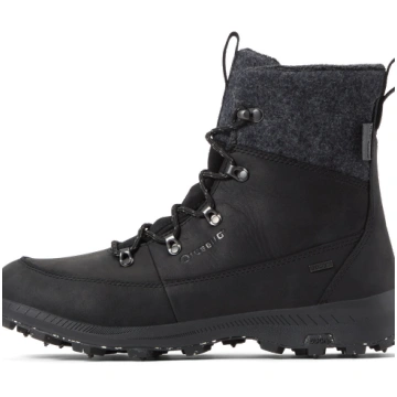 10.5 Icebug