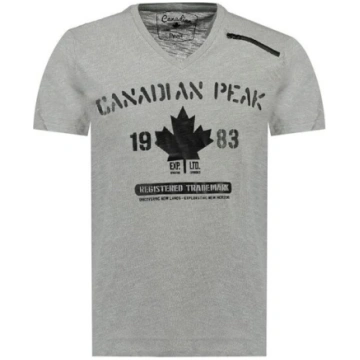 T-krekls vīriešiem Canadian Peak, pelēks, S Ar apd