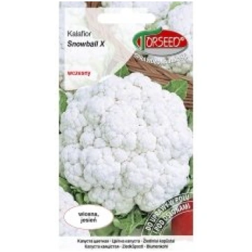 Torseed Sēklas ziedkāposti Snow Ball 1g