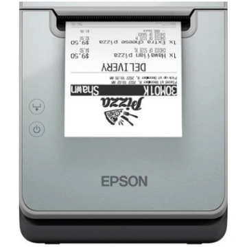 Epson EPSON TM-L100 (103A0): USB
