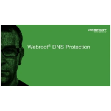 Webroot | DNS Protection with GSM Console | 1 gads