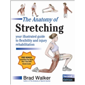 Anatomy of Stretching Brad Walker