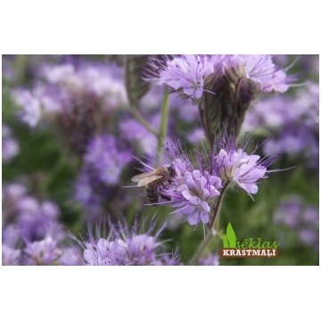 Facēlija, 250 g
