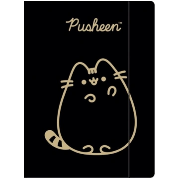 A4 zīmējumu mape ar elastīgo Pusheen Gold - kitty
