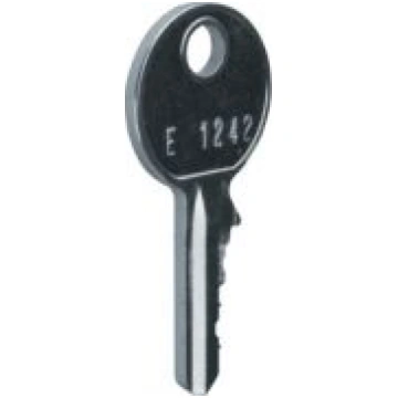 Rezerves atslēga priekš FZ455 FZ596 | 325061276596