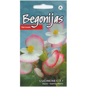 Begonijas leduspuķes Luchenec F1 sēklas 15gb Kurze