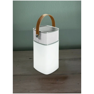 Speaker Lamp with Bluetooth Speaker. Integrated La