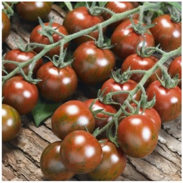 Tomāti Tigrino, Agrimatco, 25 sēklas