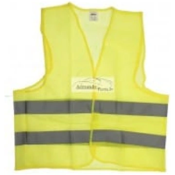 Atstarojošā veste (MAMMOOTH)