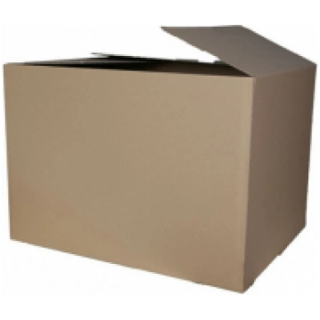 Gofreta kartona kaste 310x220x185mm 2-310220185
