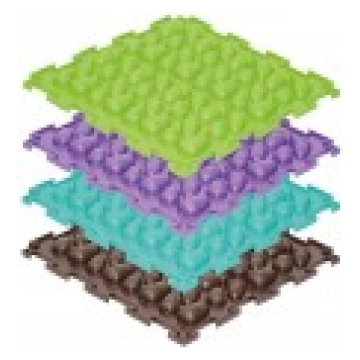 Ozolzīles Ciets ORTODON paklājiņš-puzzle 1 gab