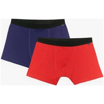 4F - Vīriešu šorti, 2gab, BOXER, M