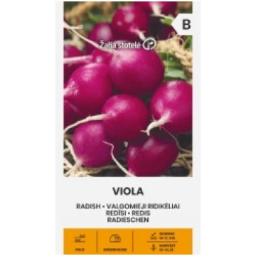 REDĪSI VIOLA ŽALIA STOTELĖ