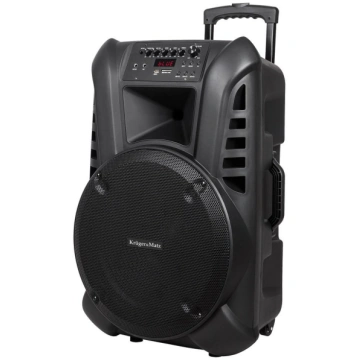 Active Speaker Cabinet (with 2 wireless microphone