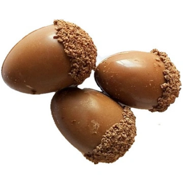 Ozolzīles