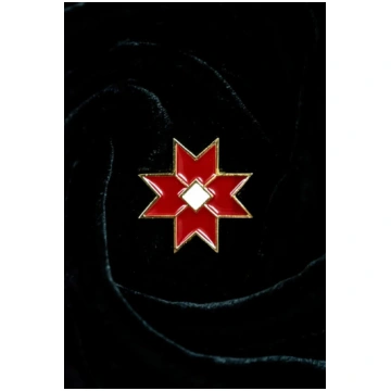 TAVI DRAUGI Piespraudīte / Magnēts "Auseklis"