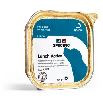 LUNCH 100 g Specific