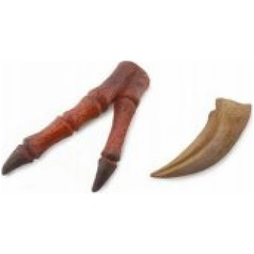 COLLECTA Collecta figurine TYRANOOSAUR TALK AND FI