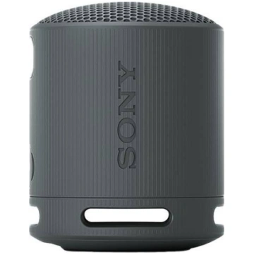 Sony - SRS-XB100 portable Bluetooth speaker SRSXB1