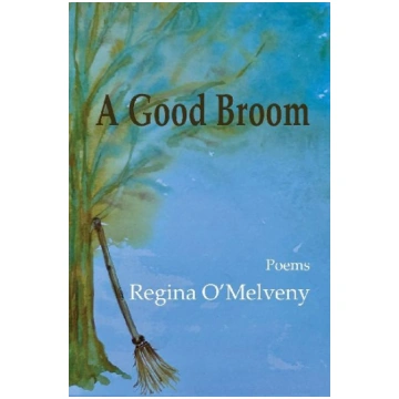 A Good Broom Sheila-Na-Gig Editions
