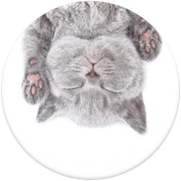 Popsockets Cat Nap Passive holder, E-book reader, 