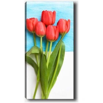 Reprodukcija Sarkanas tulpes