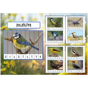 VĀRDU PUZLES - PUTNI, no 4 līdz 11 burtiem