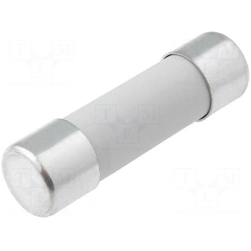 Fuse: fuse | gG | 40A | 500VAC | ceramic,cylindric