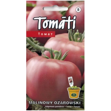 Sēklas Kurzemes sēklas, tomāti Malinowy Ożarowski,