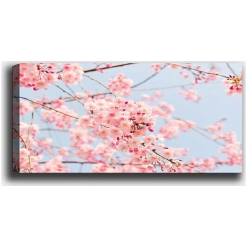 Reprodukcija Sakuras