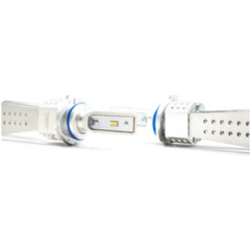 9006 / 9012 XenonDepot Xtreme LED Pro Bulbs