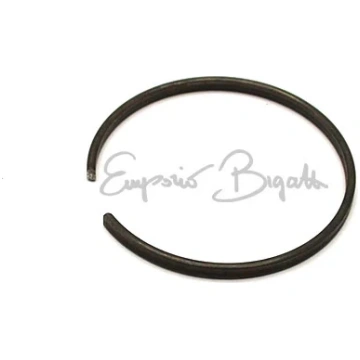 Anello elastico per cuscinetti ruota posteriore | 