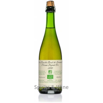 Dupont Organic Cidre Bouche Brut de Normandie