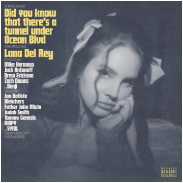 Vinila plate LP Lana Del Rey - Did You Know That T