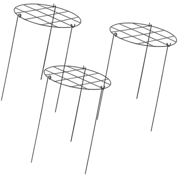 „Sharplace“ 3 gab. iepakojums – tomātu kāpšanas at