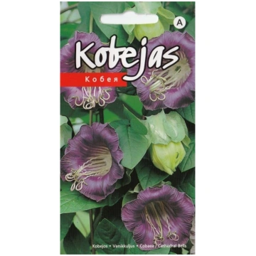 Kobejas sēklas Kurzemes sēklas, violeta 0.5g