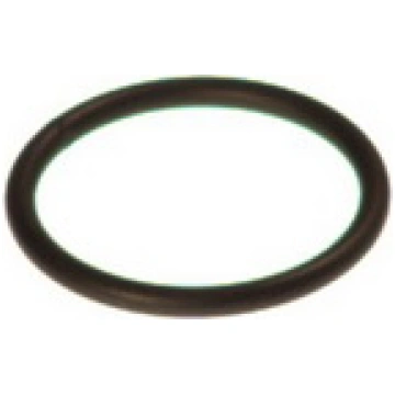 BOSCH Blīvgredzens F 00V C23 002