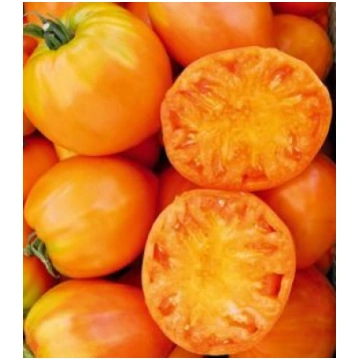 Tomāti Ochsenherz Orange 10 sēklas, Tomāti , Dārze