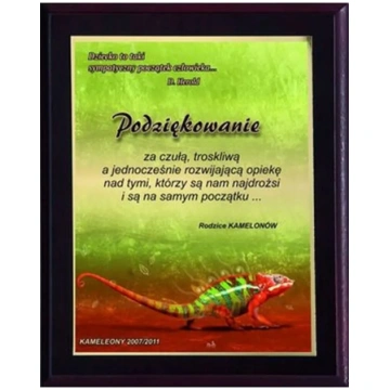 Plastmasas diploms ar Colour Touch laminējumu, Vic