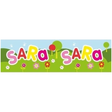 John Hinde Bidon 300ml Sara 436368 (5099563195556)