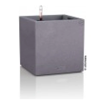 PUĶU PODS CANTO STONE 30 AKMENS PELĒKA MSPA