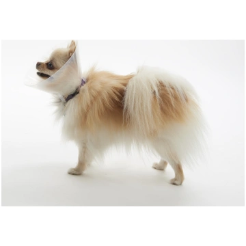 PĒCOPER APKAKLE BRAHICEF XS 10CM BUSTER /273500